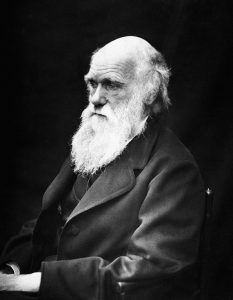 Teoría de la evolución de Darwin