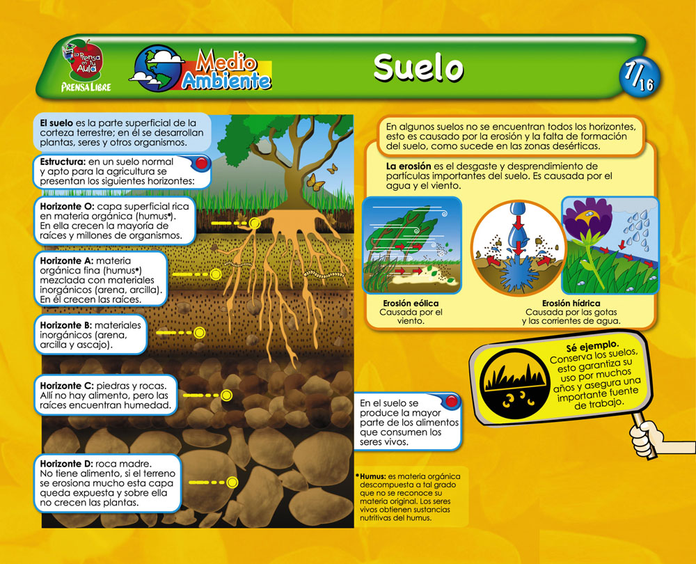 El suelo como elemento natural de la Tierra