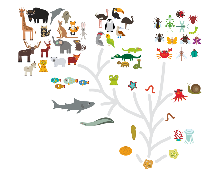 Teorías del origen de la vida