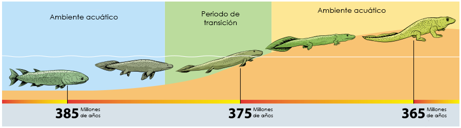 Teorías del origen de la vida