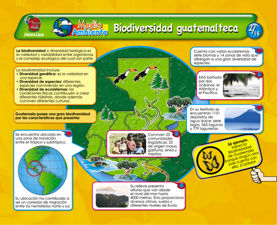 ¿Qué es biodiversidad guatemalteca?