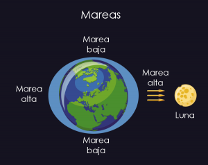 La luna y las mareas, una curiosa influencia - Hago mi Tarea