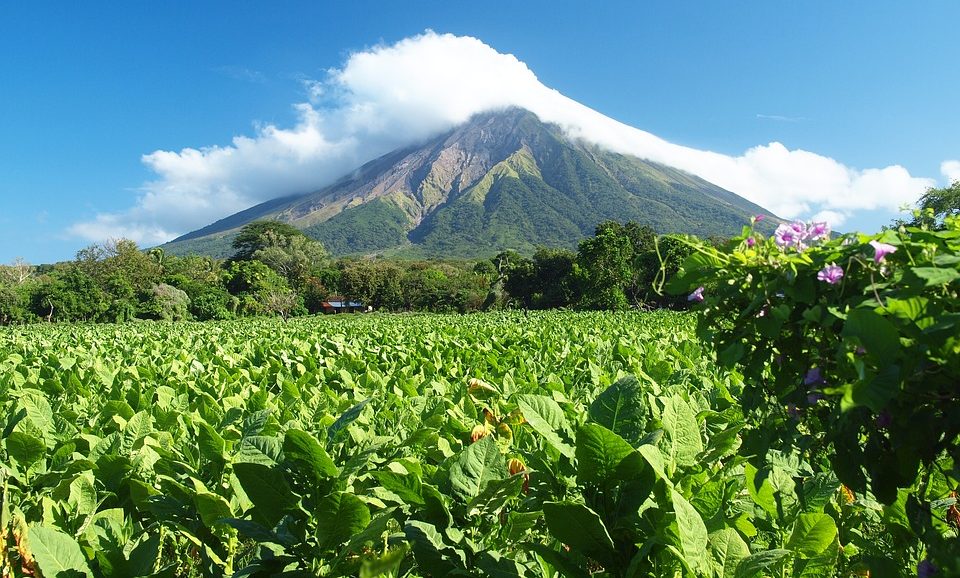 Nicaragua Hago Mi Tarea nicaragua-hago-mi-tarea