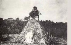 Descubrimiento de Tikal en Petén. 