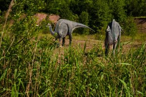 Iguanodon, tipo de dinosaurio