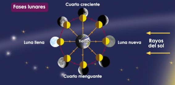 Fases de la luna y su posición respecto a la Tierra