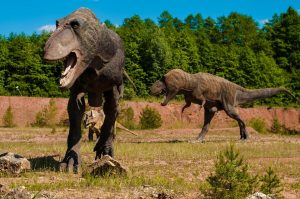 Tipos de dinosaurios, Tiranosaurus