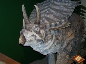 Tipos de dinosaurios, Triceratops