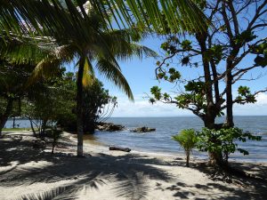 Estado de las playas según el Perfil Ambiental de Guatemala