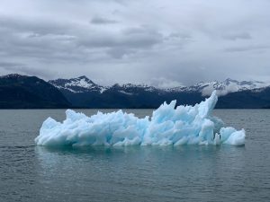 Derretimiento de los polos por el cambio climático 