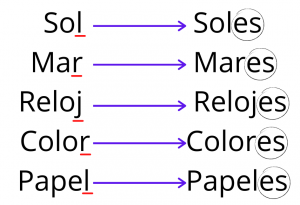 Sustantivos plurales