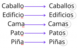 Sust. plurales