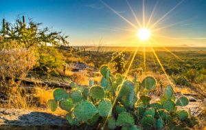 desierto sonora