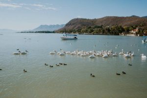 Principales ríos y lagos de México