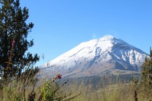 montañas y volcanes de México